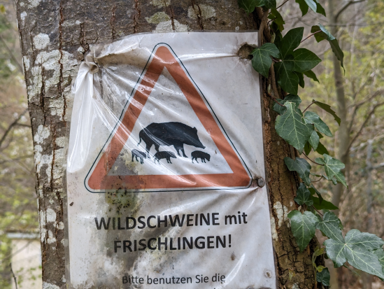Hohe Loog, Neustadt
16. April 2023